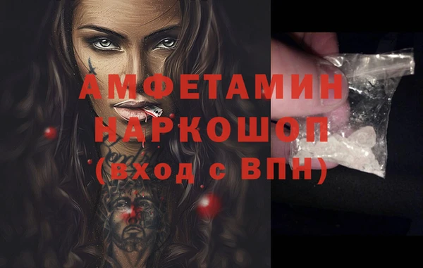 стаф Балахна