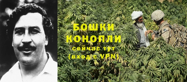 молекула духа Балабаново