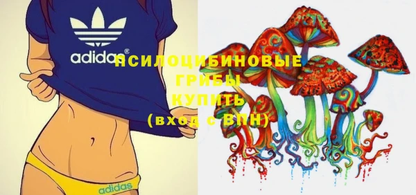 стаф Балахна