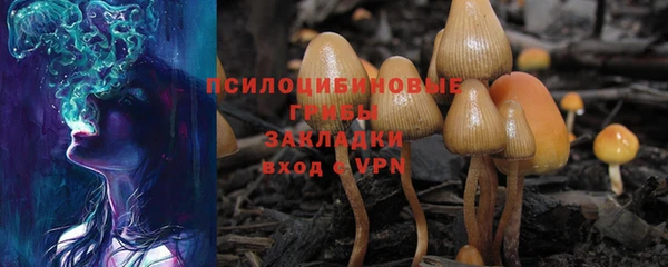 молекула духа Балабаново